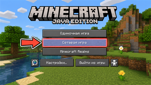 Открой Minecraft и нажми «Сетевая игра»
